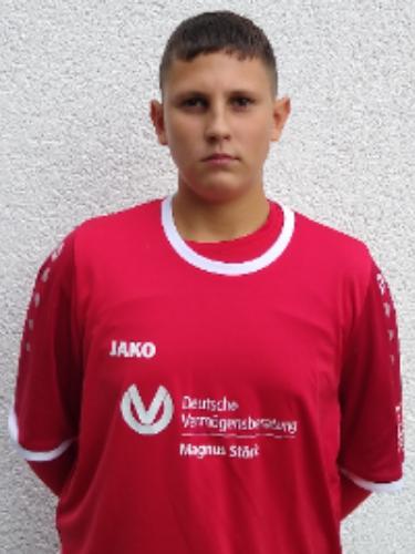 Lazar Tesic