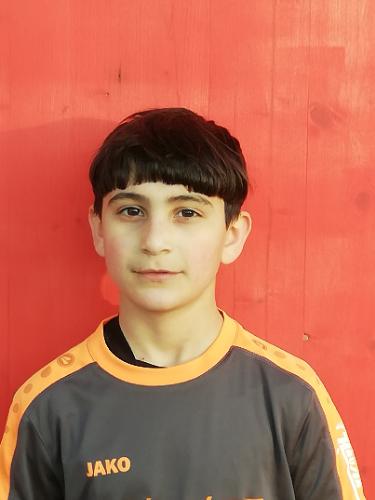 Raman Hussain
