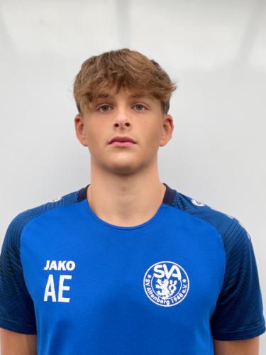 Alexander Hendrik van Elst