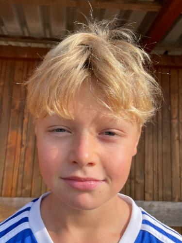 Henri Johannes Böth