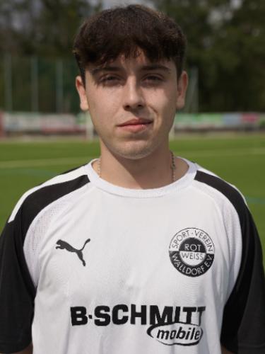 Denis Fernandez Mera