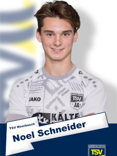 Noel Angelus Schneider