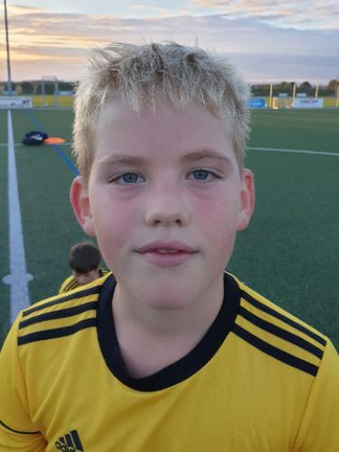Niklas Stich