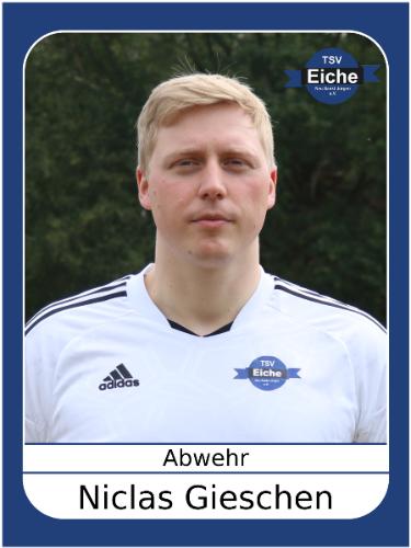 Niclas Gieschen