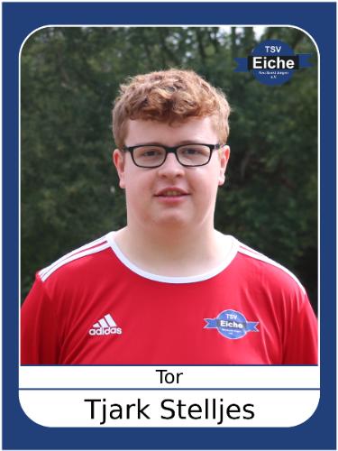 Tjark Stelljes