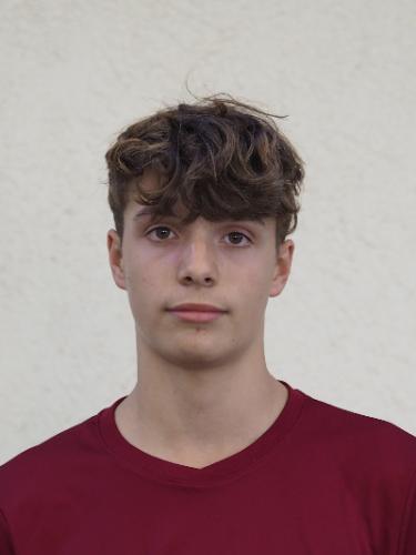 Nino Fridolin Lemmerich