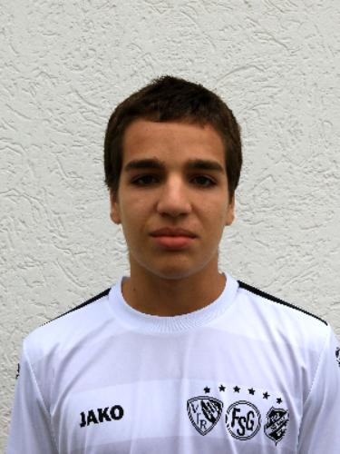 Josef Will Puga