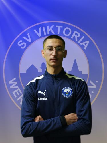 Nik Bogdan