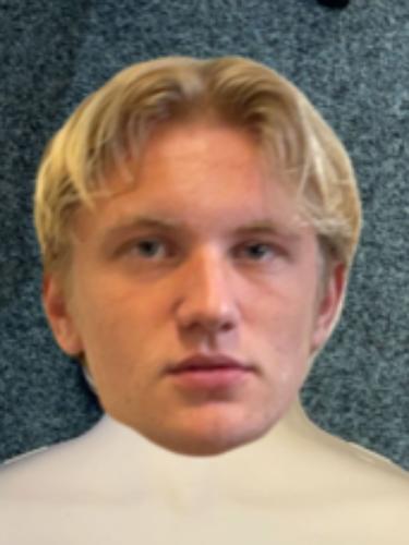 Finn-Henrik Hülße