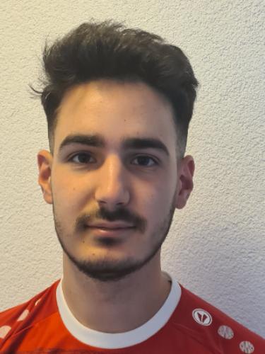 Roberto Niculescu