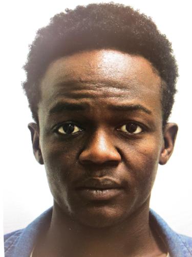 Badr Aldin Mustafa Mohamed