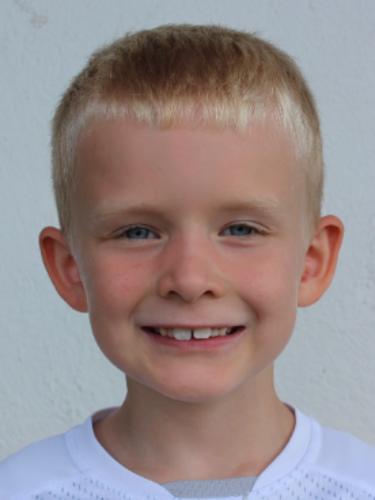 Willi Alexander Fabian