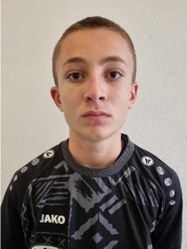 Niko Pilipovic
