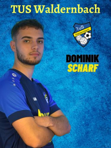 Dominik Scharf