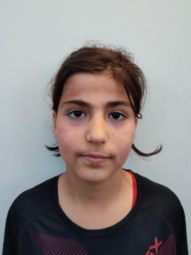 Divan Ibrahim Ali