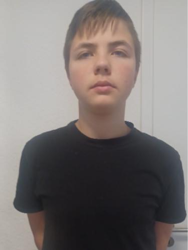 Davis Niks Harlamovs