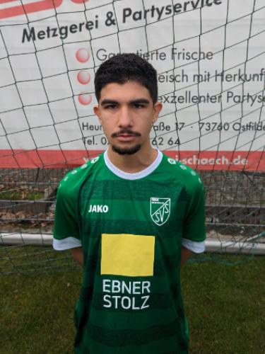 Yunusa-Emre Boran
