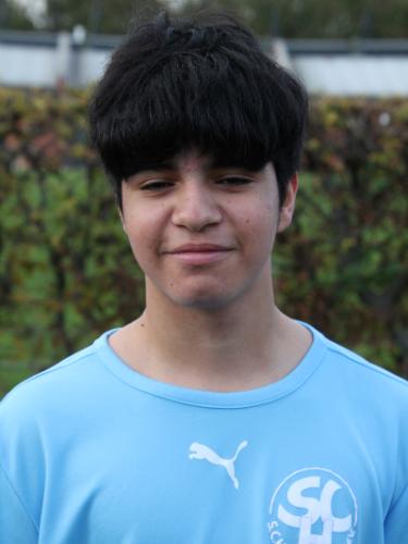 Sebastian David Sandoval Mendez