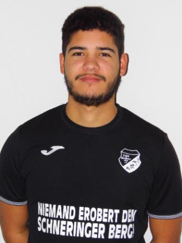 Alexander Scharlau Contreras