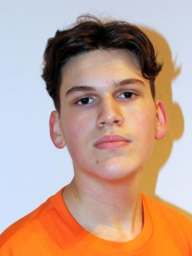 Aron Bajcinca