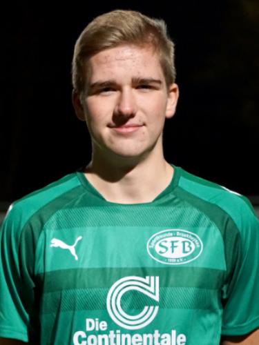 Hannes Hendricks