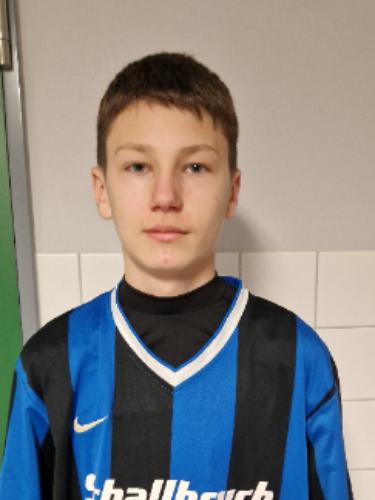Vasyl Borovytskyi