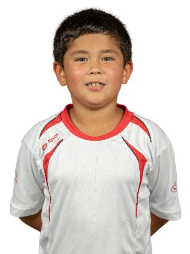 Fynn-Eli Henges