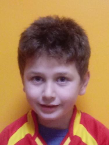 Mahir Okur