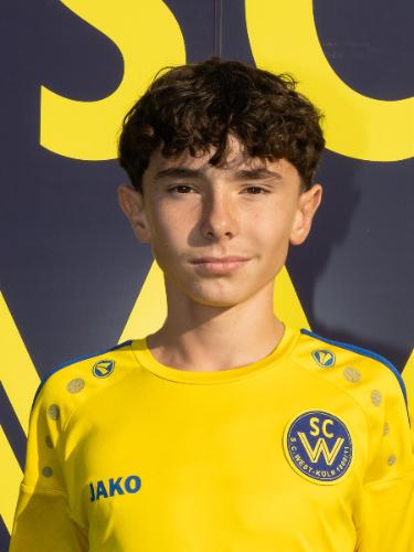 Tarik Osmanovic