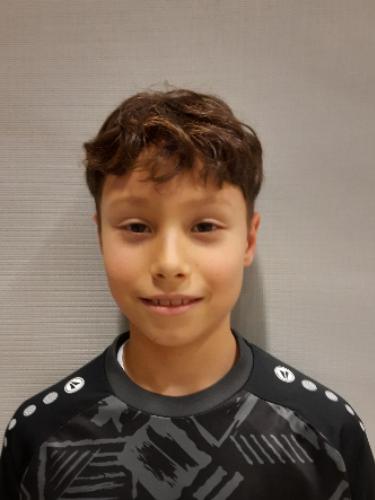 Dominik Mickevic
