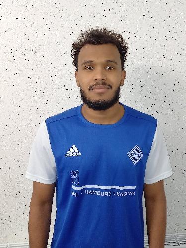 Hashim Mohamedali Ahmed Ahmed