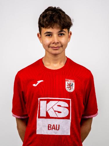 Daris Alihodzic