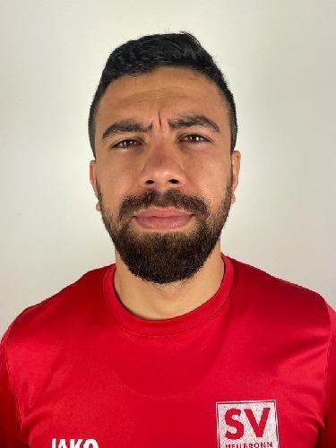 Engin Danisir