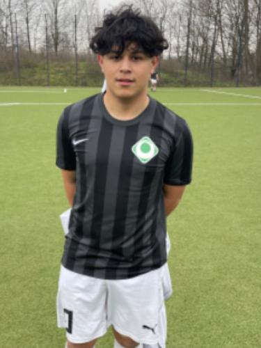 Franz Anthony Gaertner