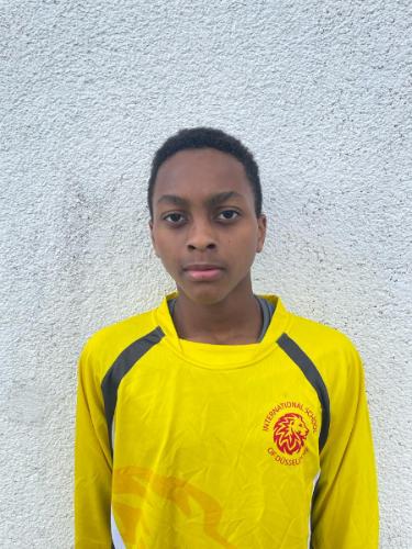 Harrison Elbert Nelson Henry