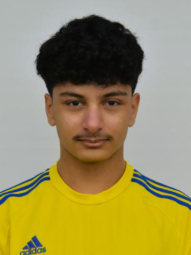 Ali Alsajad Alhindawi