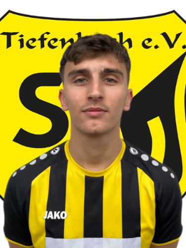 Damir Ser