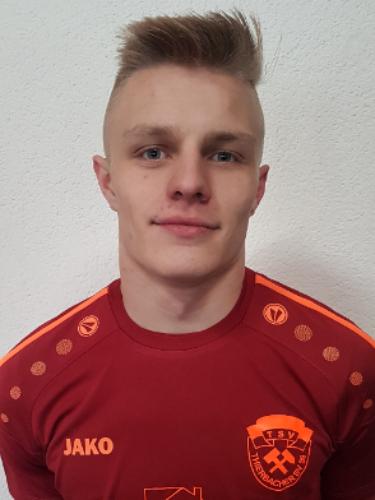 Dustin Treibl