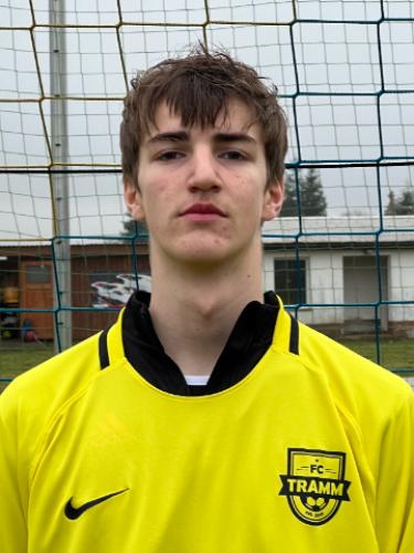 Niklas Dobbertin
