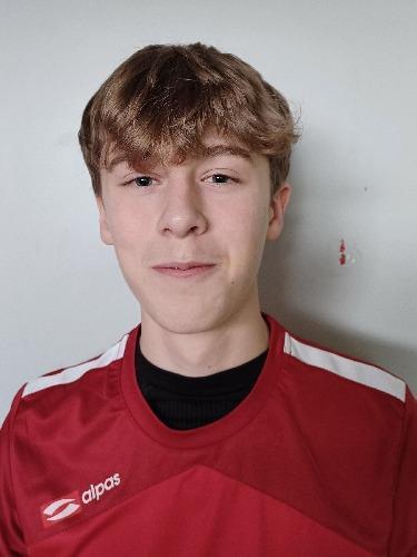 Theo Heitmann