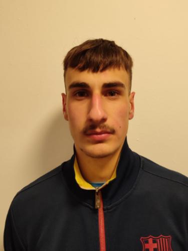 Fabio Vincenti