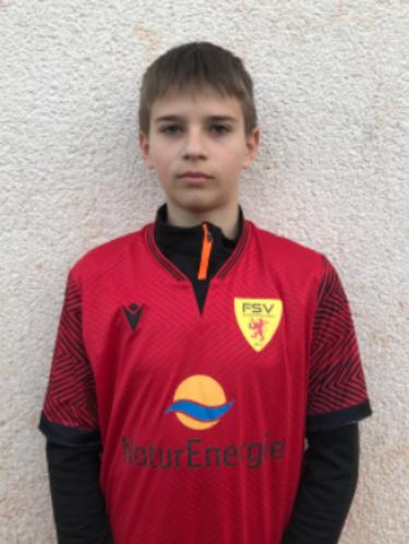Jovan Ilic