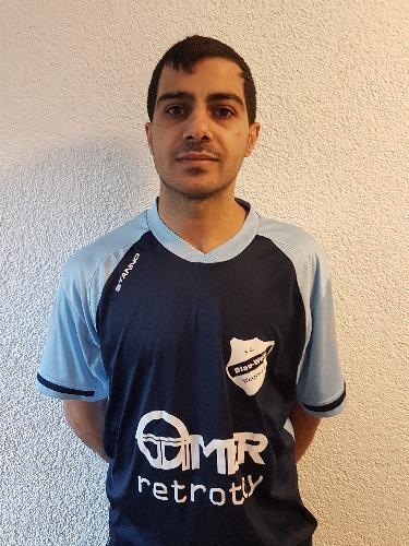 Mohamad Shekh Bahaa