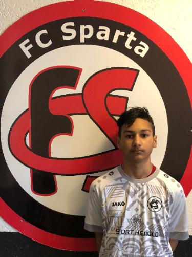 Steliyan Veslinov Hristov