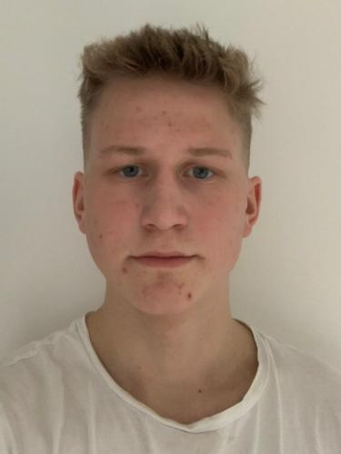 Ludwig Niclas Dümichen