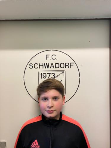 Alex Bronsart von Schellendorf