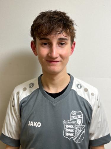 Felix Geser