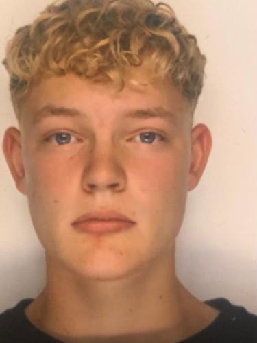 Niklas Colino Bergmann