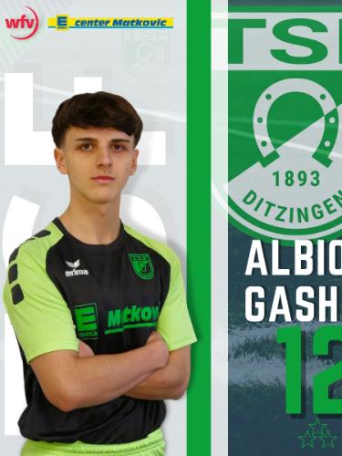 Albion Gashi