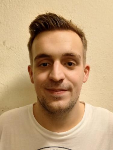 Niko Mircic